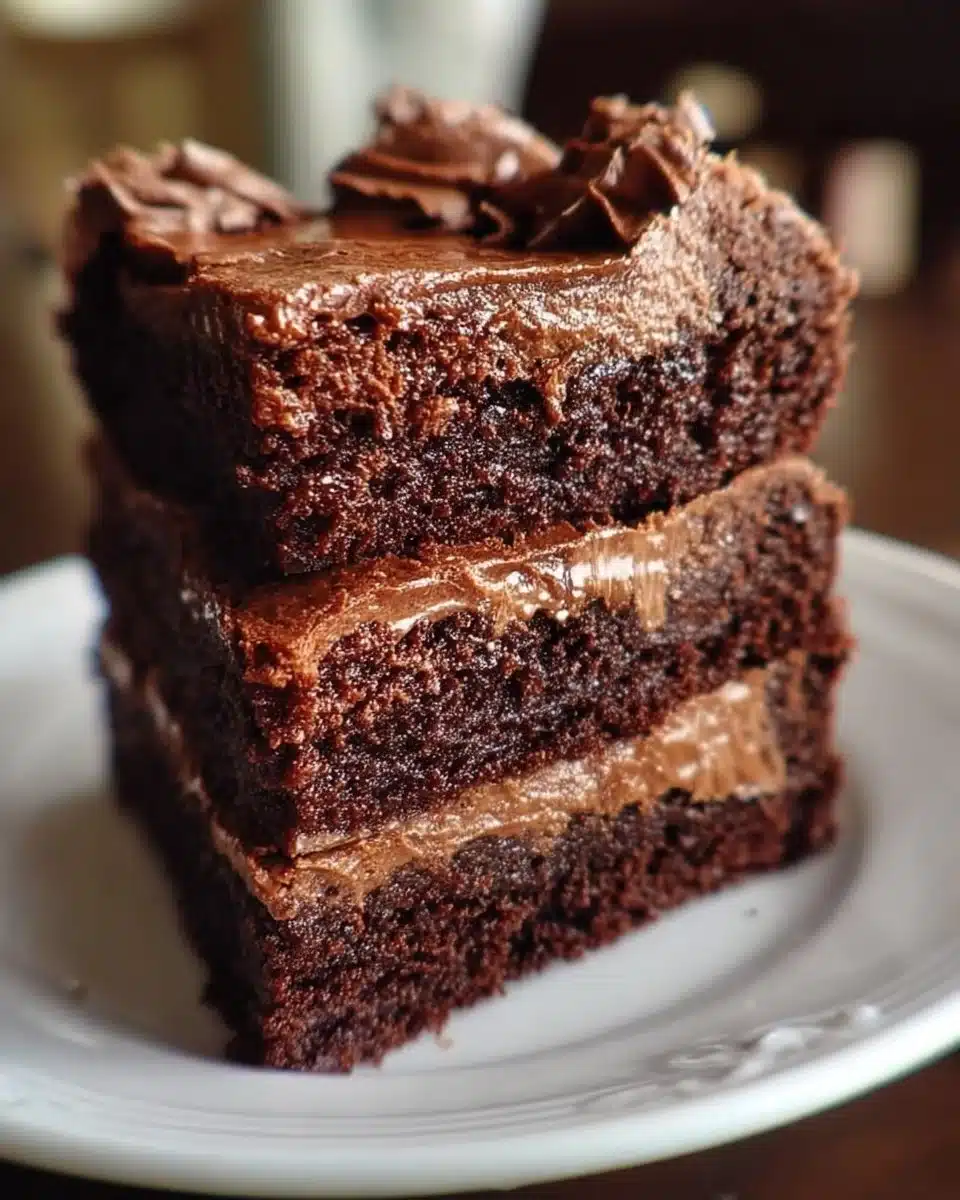 Fudgy Nutella swirled brownies with chocolate drizzle on top