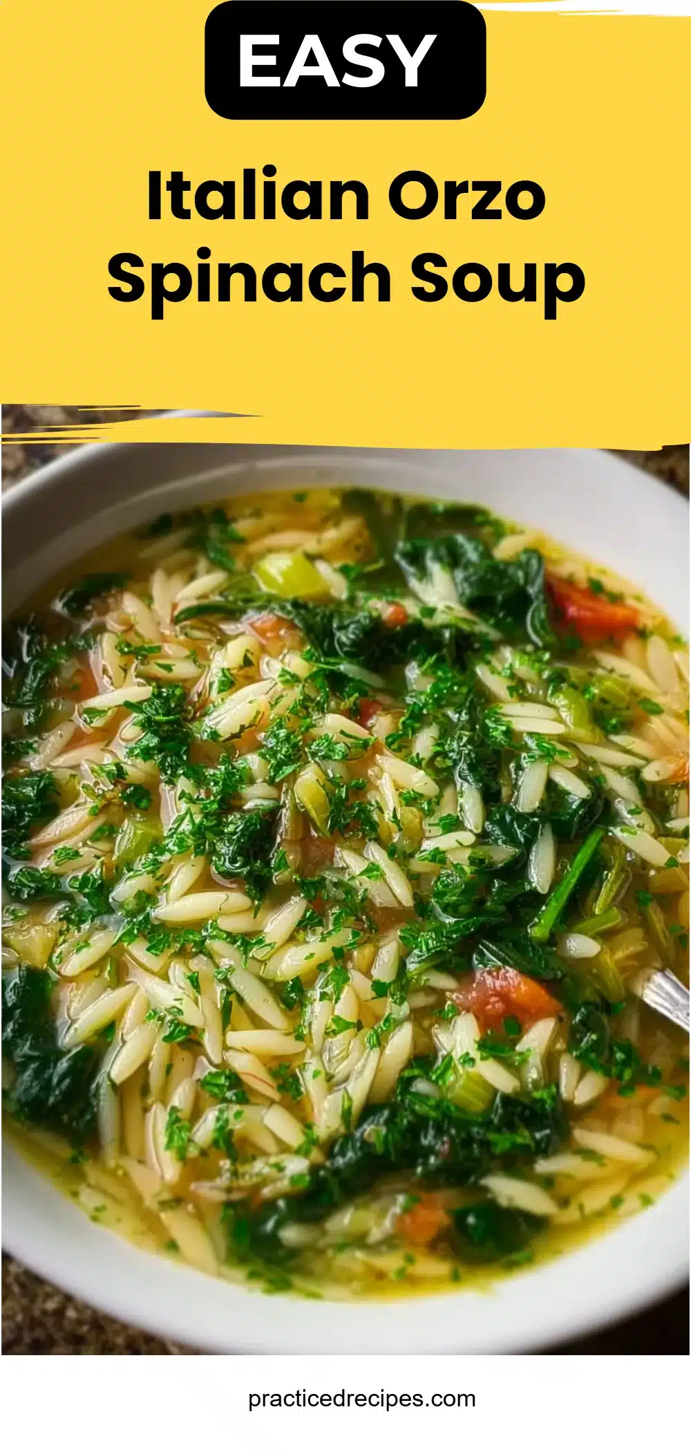 Italian Orzo Spinach Soup