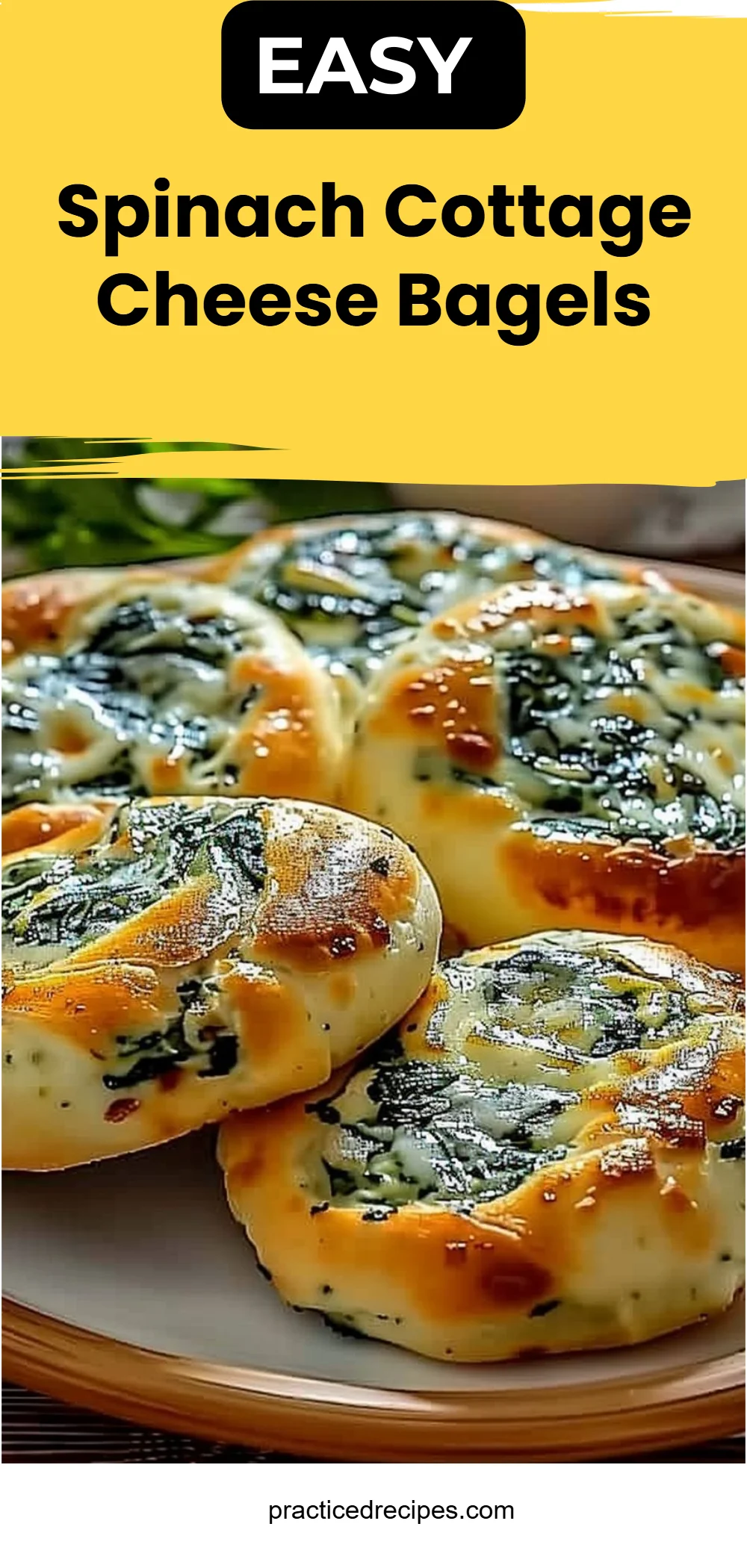 Spinach Cottage Cheese Bagels