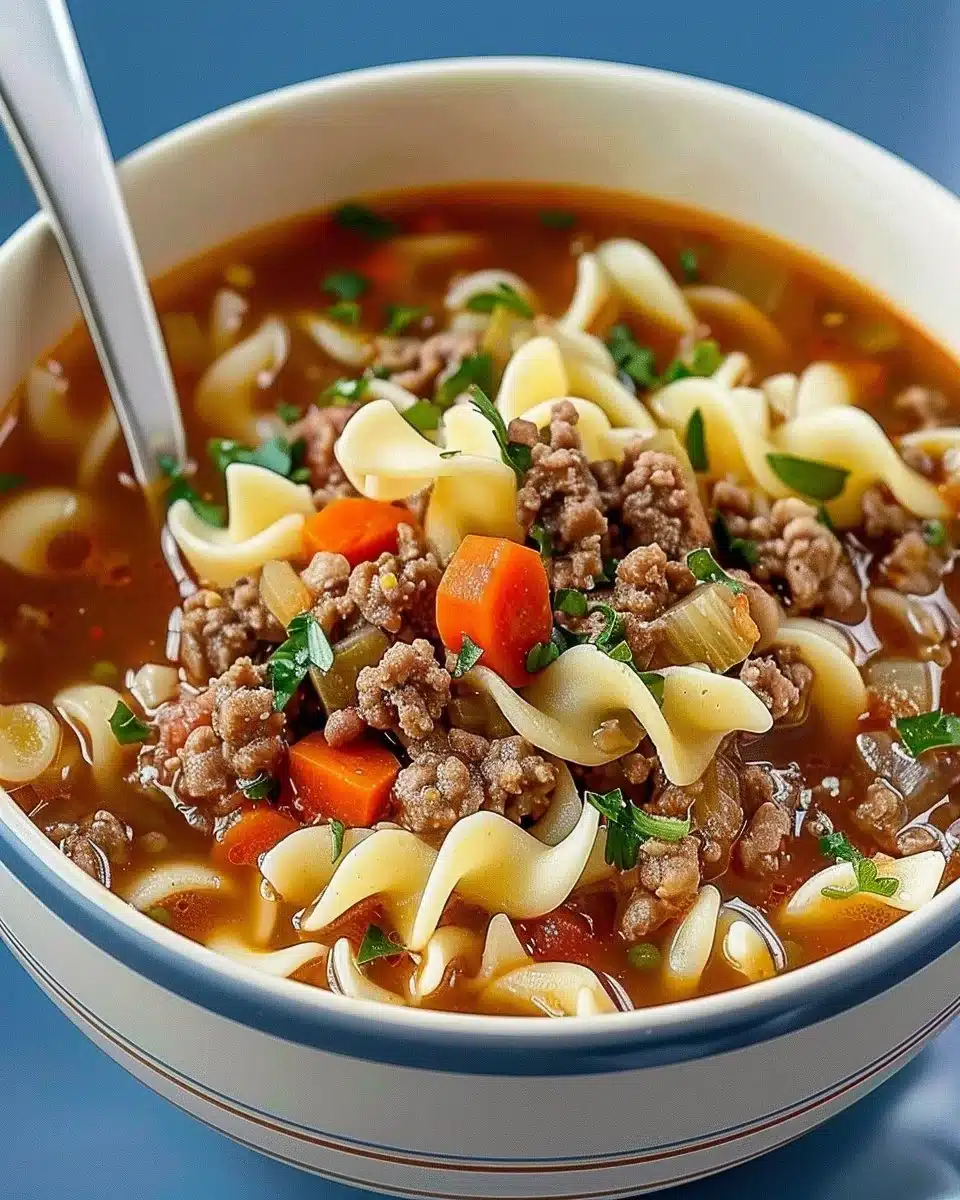 Delicious bowl of easy hamburger noodle soup with fresh ingredients