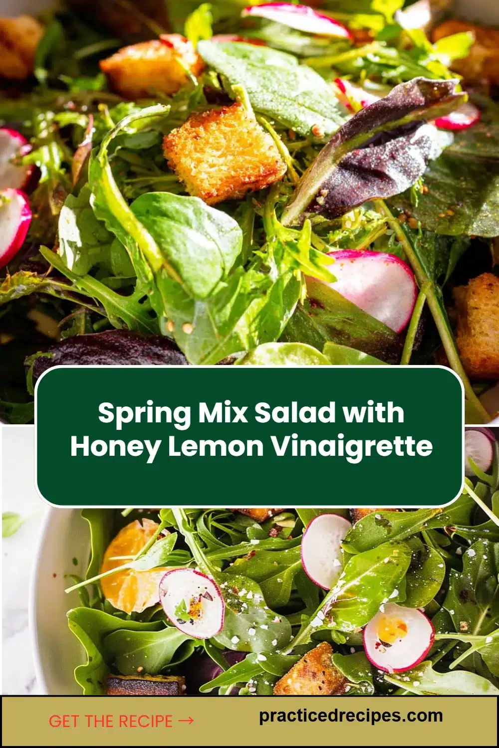 Spring Mix Salad with Honey Lemon Vinaigrette