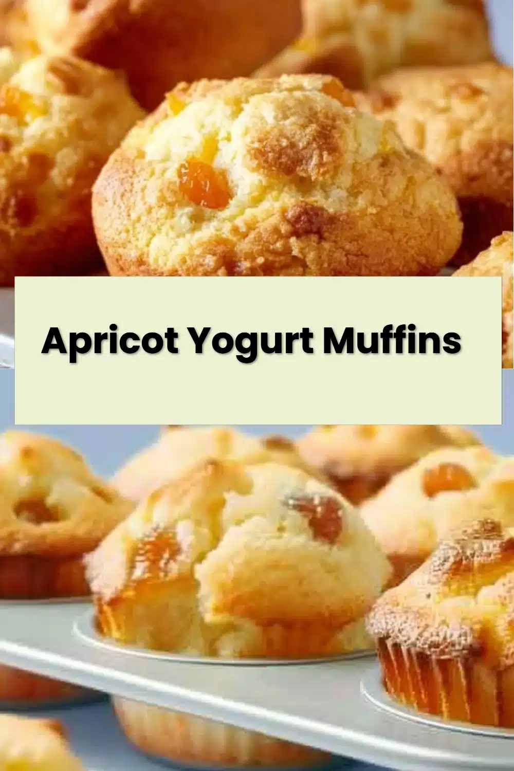Apricot Yogurt Muffins