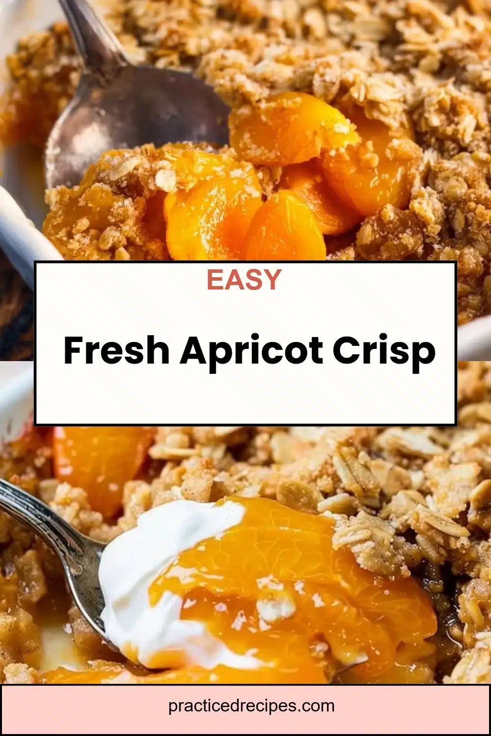 Fresh Apricot Crisp