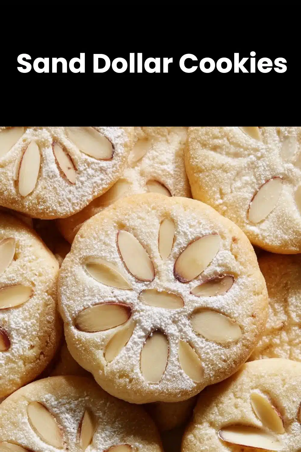 Sand Dollar Cookies